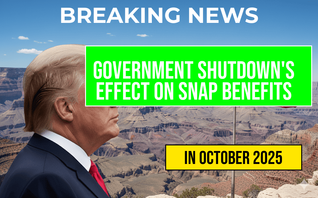 Impact of Government Shutdown on SNAP Benefits and Food Stamp Programs